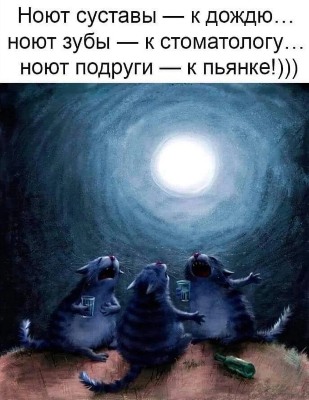 КУКУРУЗА 🌽