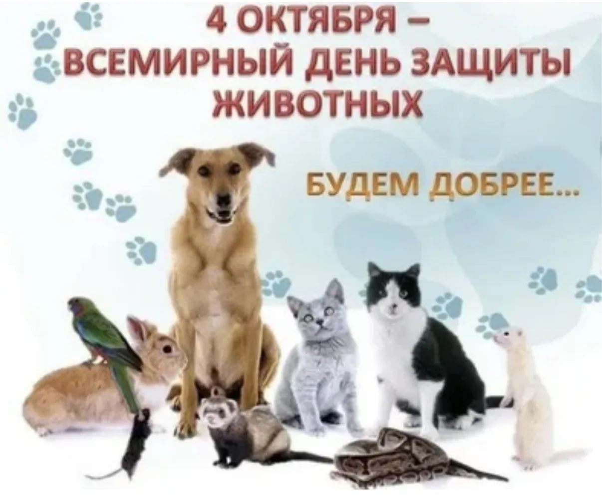 ✅4 октября- Всемирный Дель защиты  животных .Учащиеся нашей школы присоединились и пров...