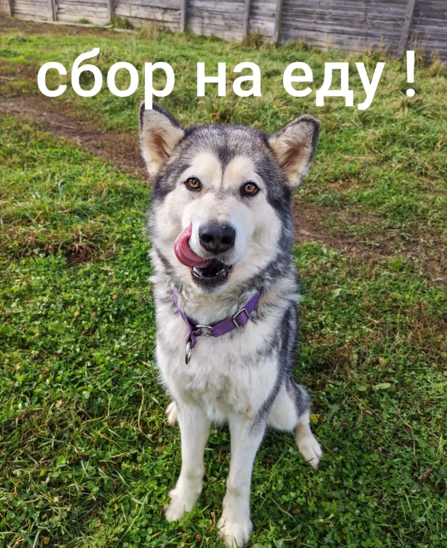 Срочная срочность на нас сегодня.
