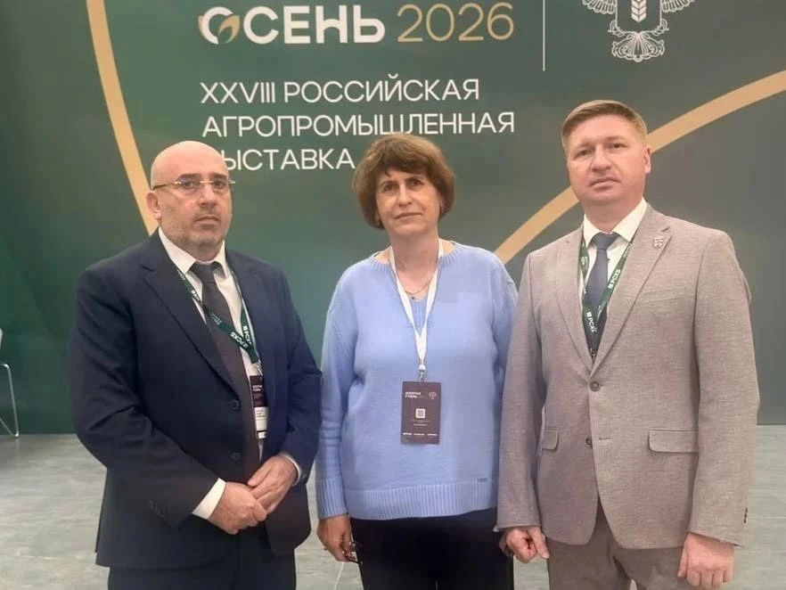В Дагестане проверяют очаги мраморного клопа