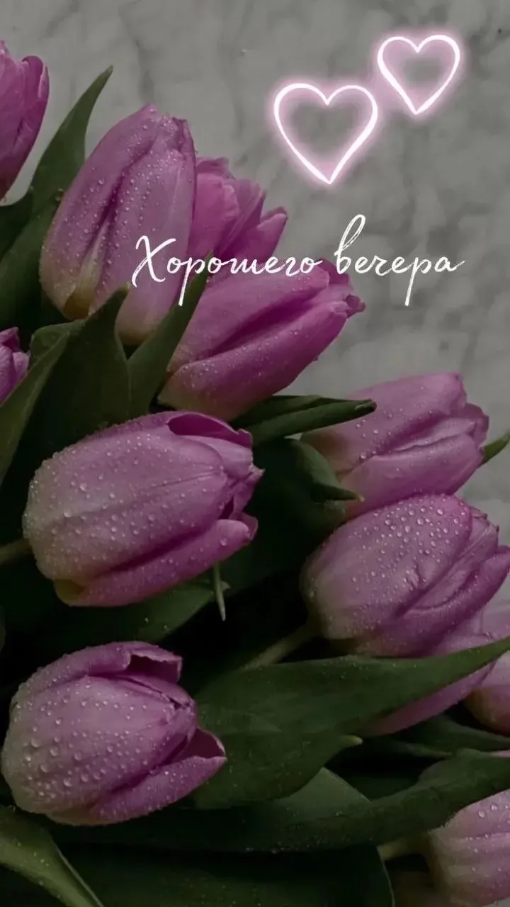 🌺ОТКРЫТКИ И ПОЗДРАВЛЕНИЯ 🌺