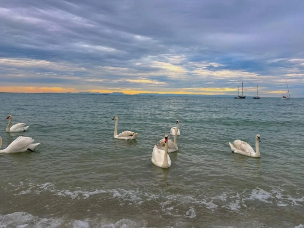 Евпатория ❤️ Море 🌊