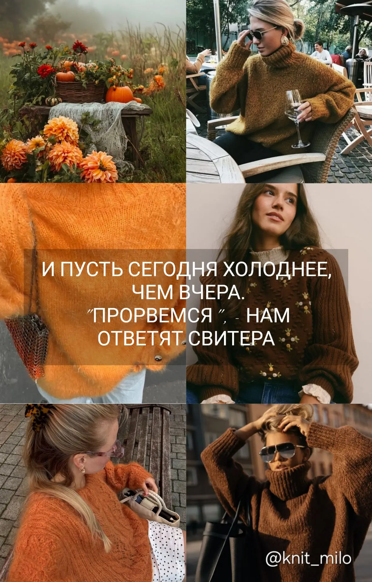 🦙 стихи