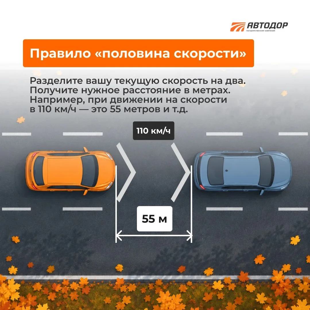 🌧 Осень — время держать дистанцию!