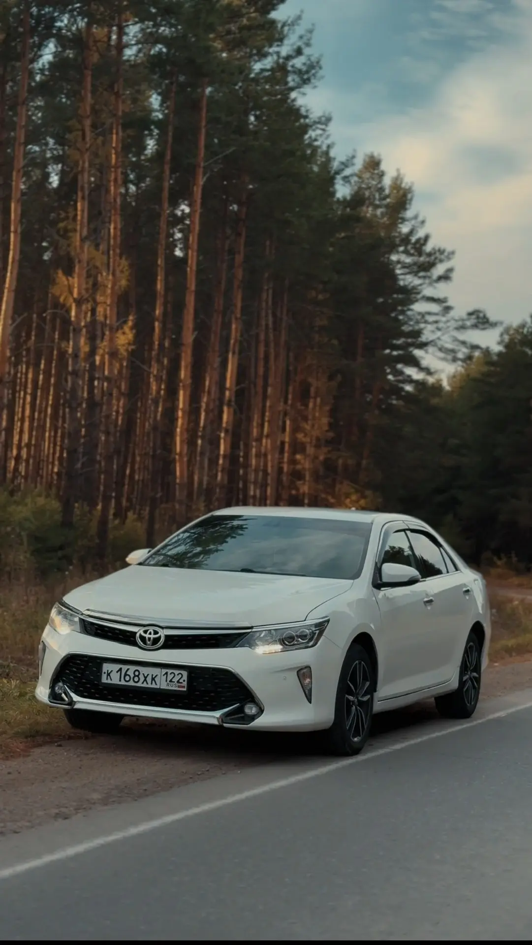 Осенний Сибирский бор и ваша TOYOTA CAMRY в 55 кузове🔥