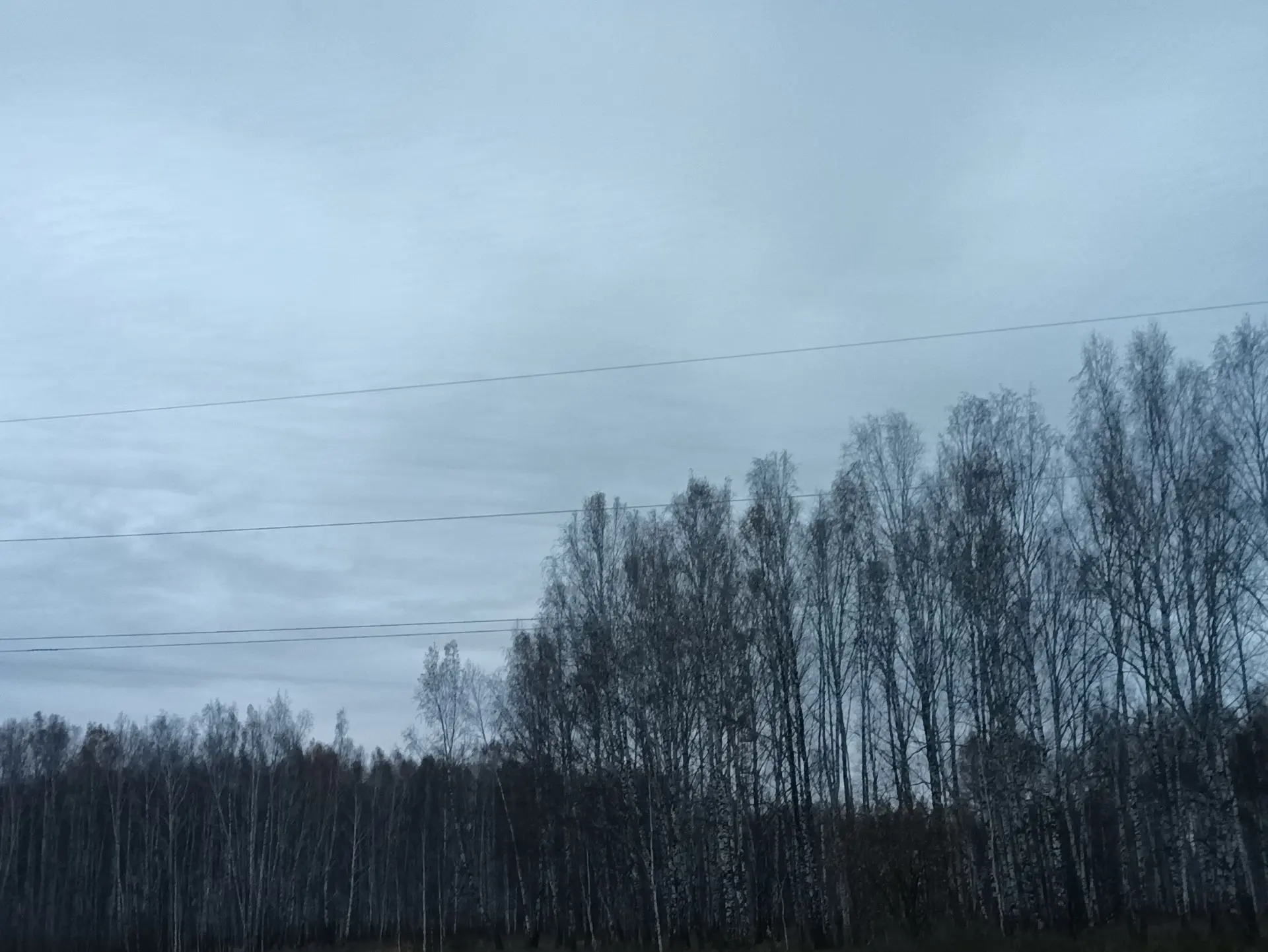 Серое небо октябрьского утра!