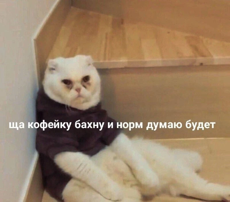 С понедельником, всем хорошей недели 🫶🏼