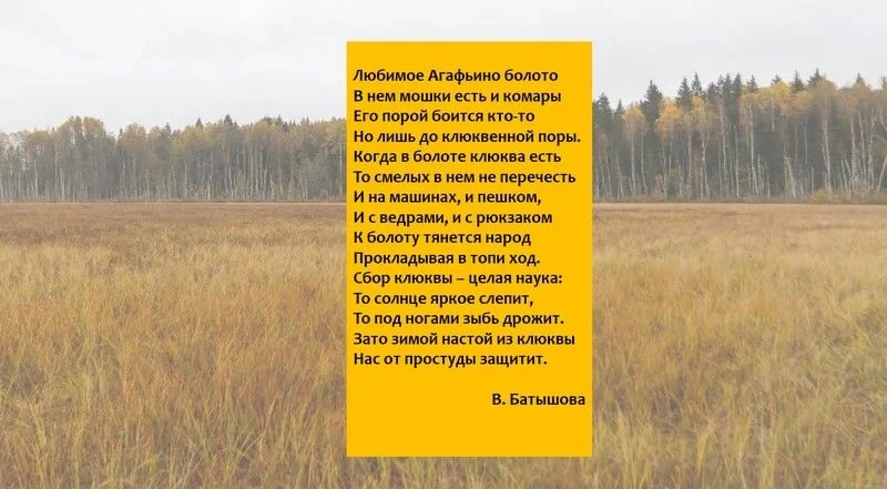 🍁Агафьинское болото - оно спрятано в чаще леса.