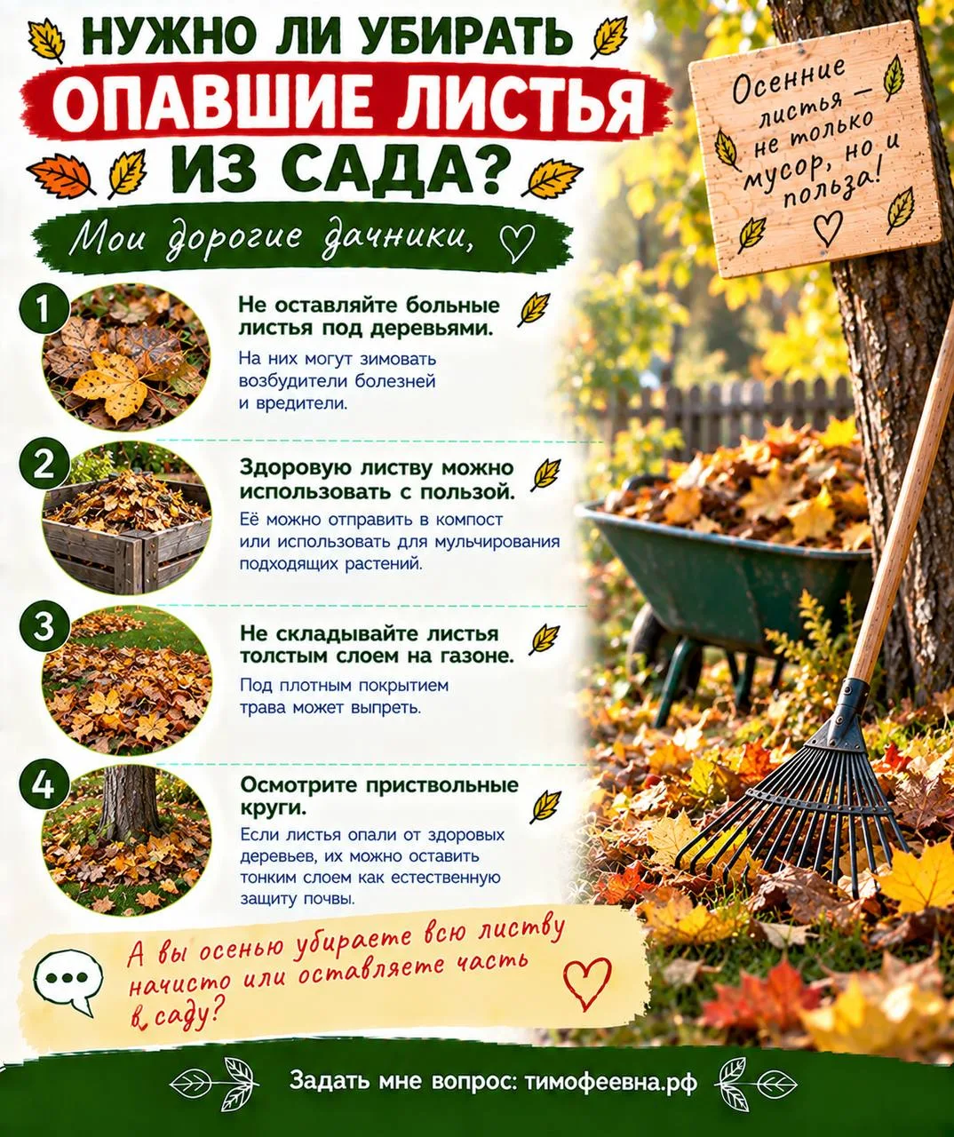 🍂 Нужно ли убирать опавшие листья из сада?