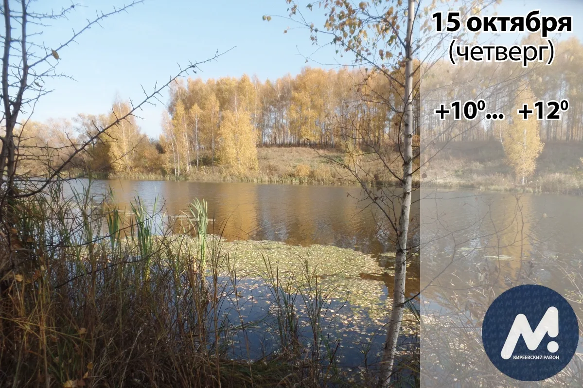 🌧️ 15 октября: погода в Киреевском районе и народные приметы дня​