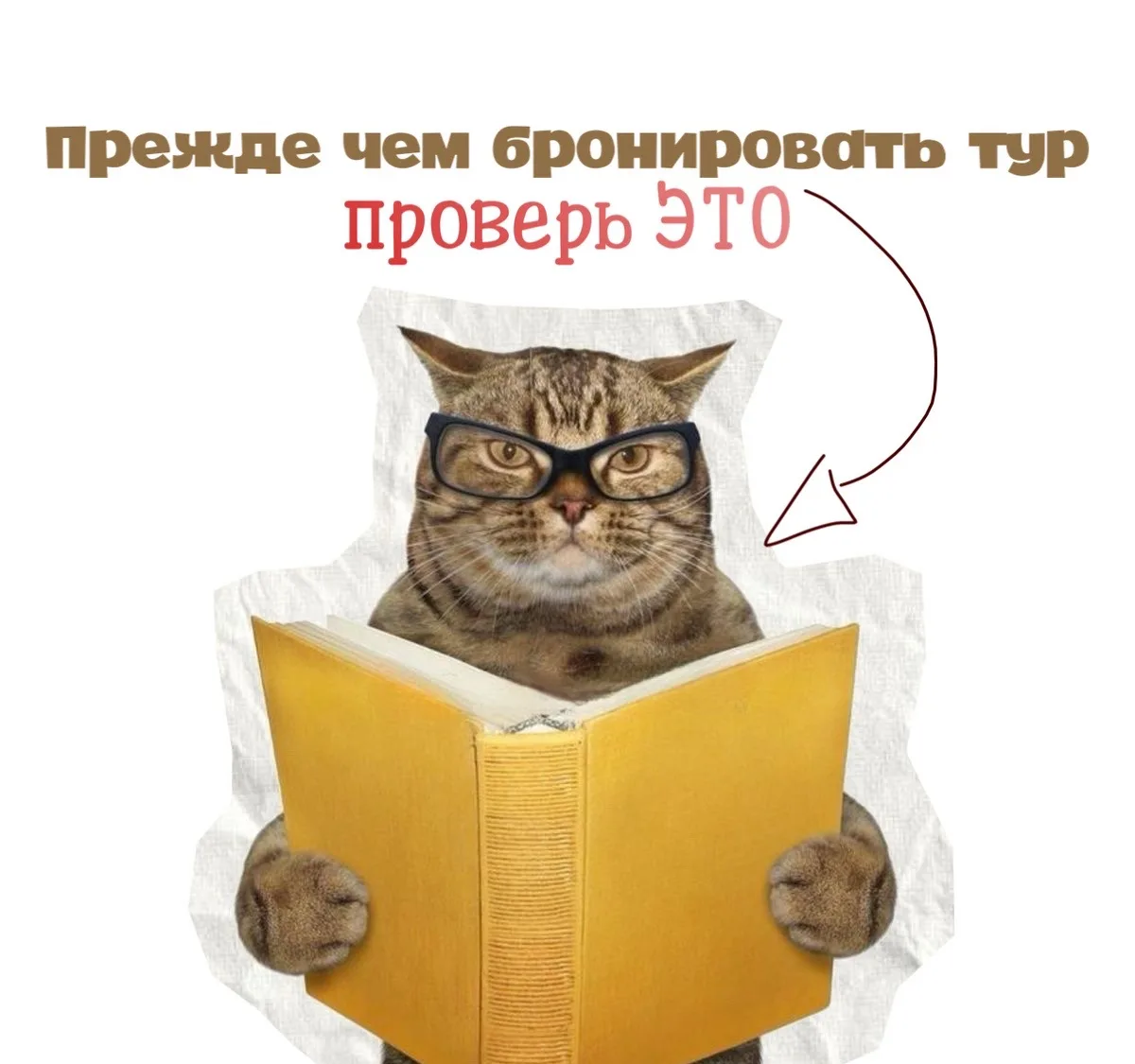 ⏳Прежде, чем бронировать тур, проверьте это за 5 минут.