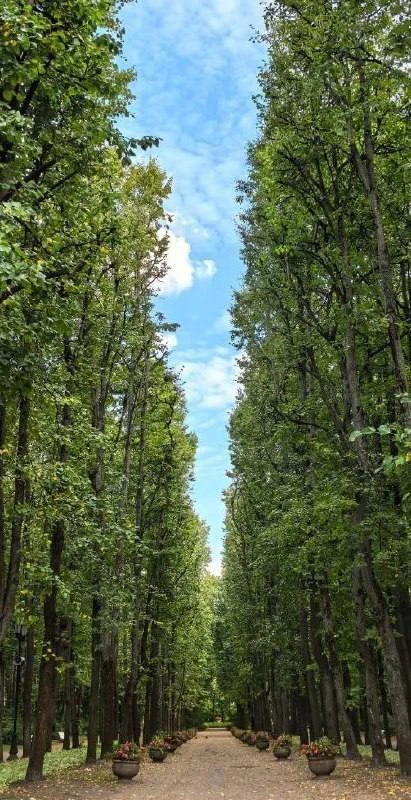 🌳 Нескучный сад