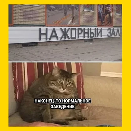 Полный Хохотамбл! Подпишись скорее