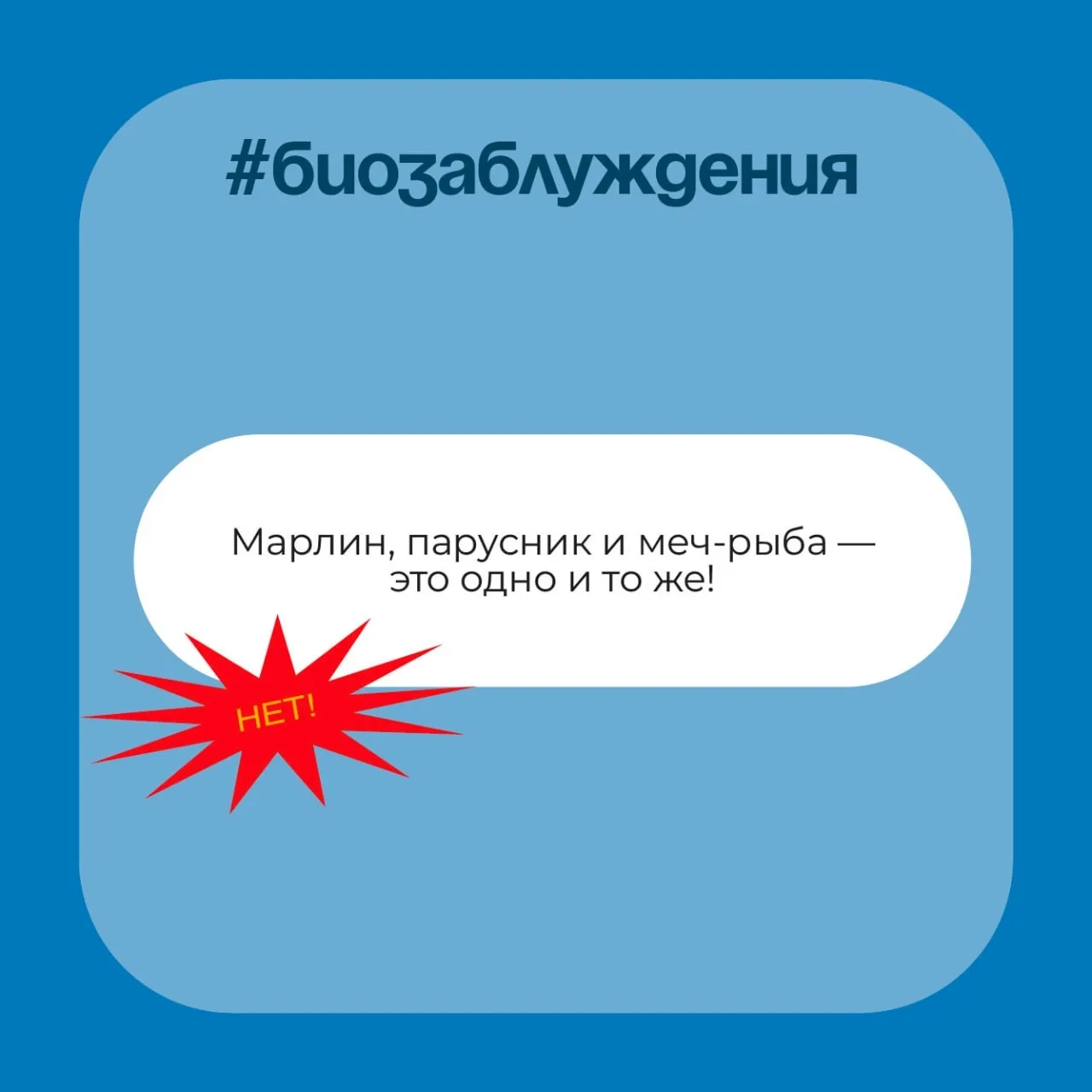 Марлин, парусник и меч-рыба — это одно и то же!