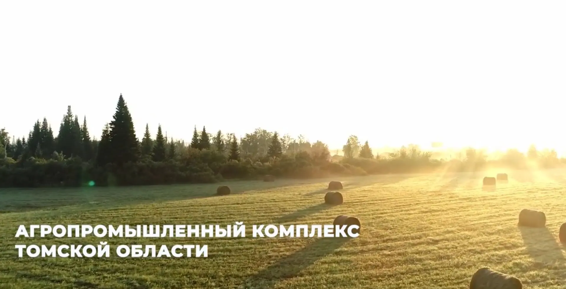 Неделя профориентации в МБОУ «СОШ № 196»: от атомных технологий до энергетики будущего 🚀