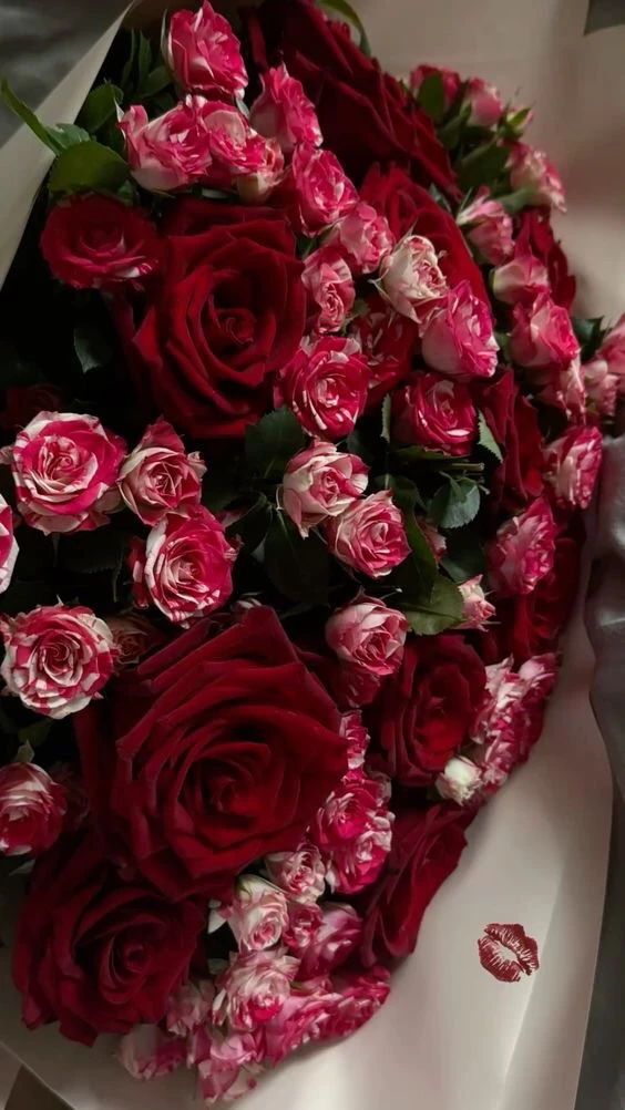 ❤🌹❤