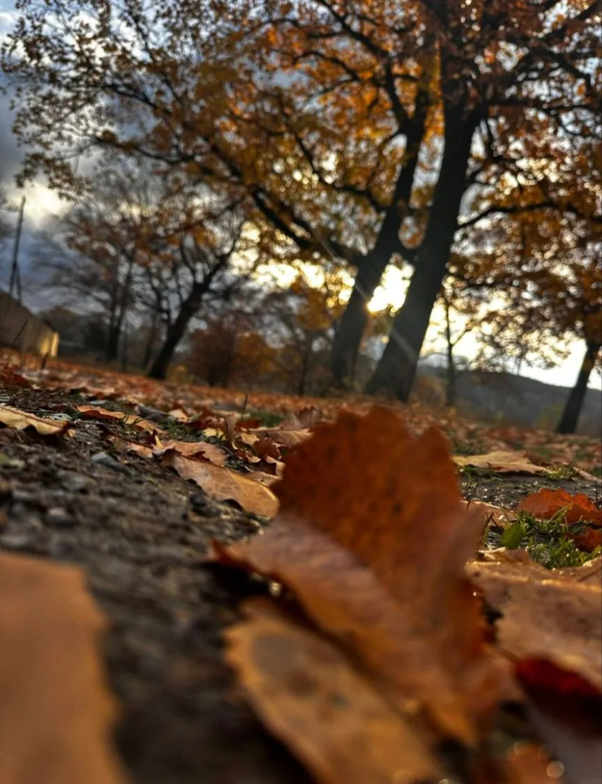 Доброе утро 🍂