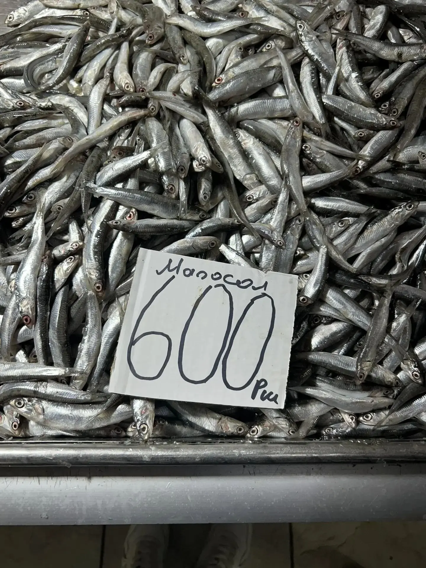 🐟💰 Почём хамса на рыбном рынке Керчи?