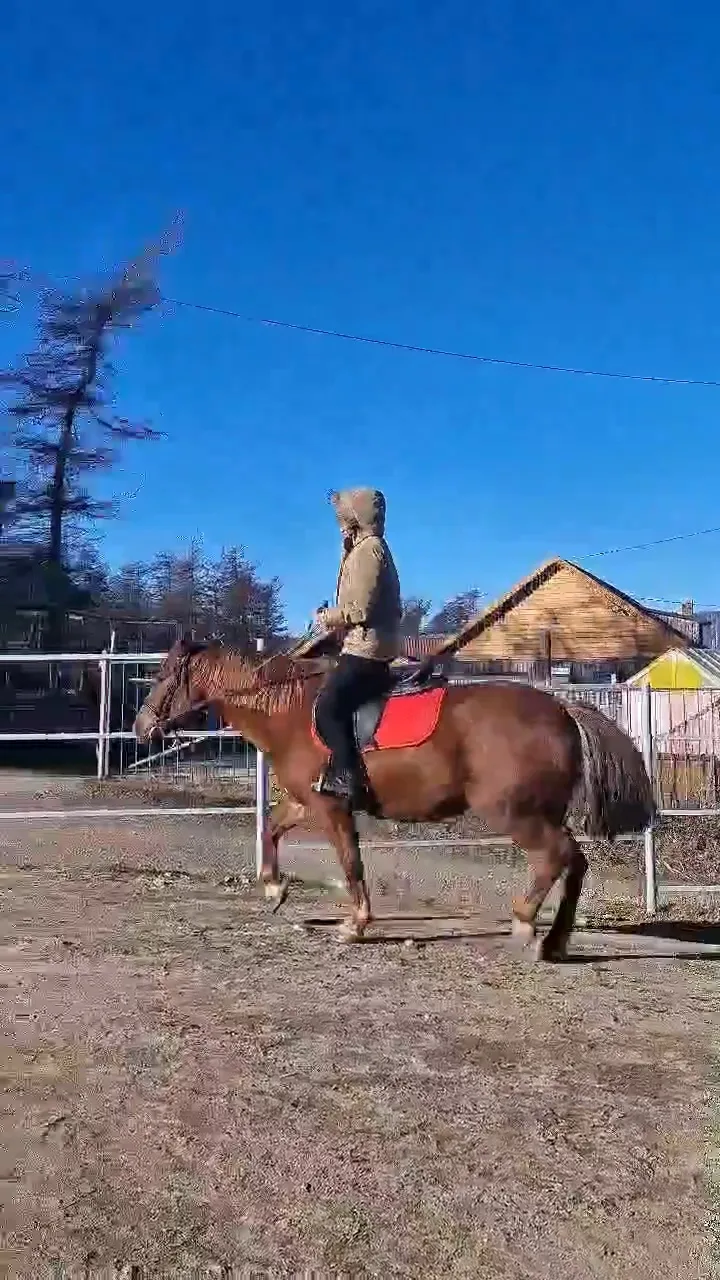 🫶😊 Наше доброе утро...