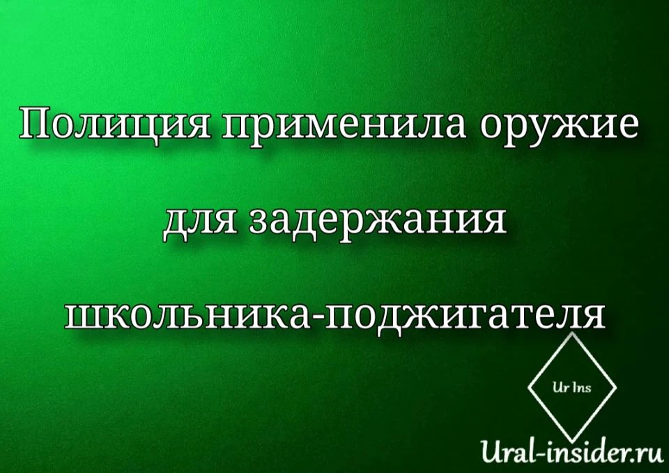 🟩[Полиция применила оружие для задержания школьника поджигателя]