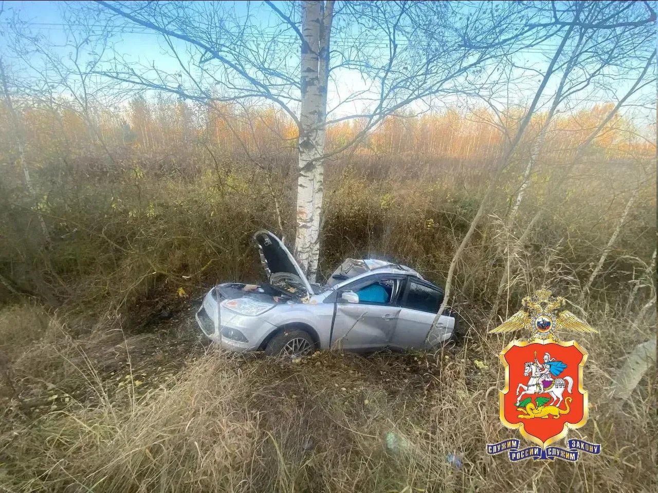 💥 Смертельная авария под Раменским — Ford слетел с дороги и врезался в дерево