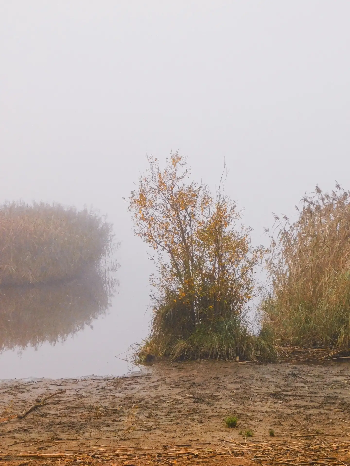 💬 Встречая октябрь на туманных берегах Лахтинского разлива 😶‍🌫️👻🍂 Пришло любимое в...