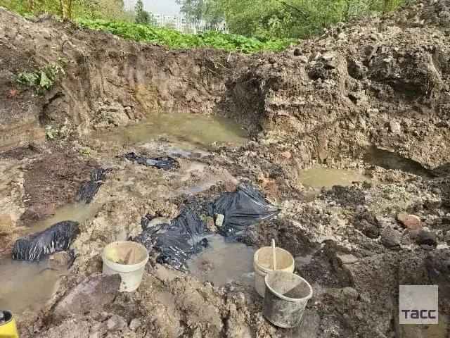 📣 В Ленинградской области нашли массовое захоронение замученных эстонскими и немецкими...