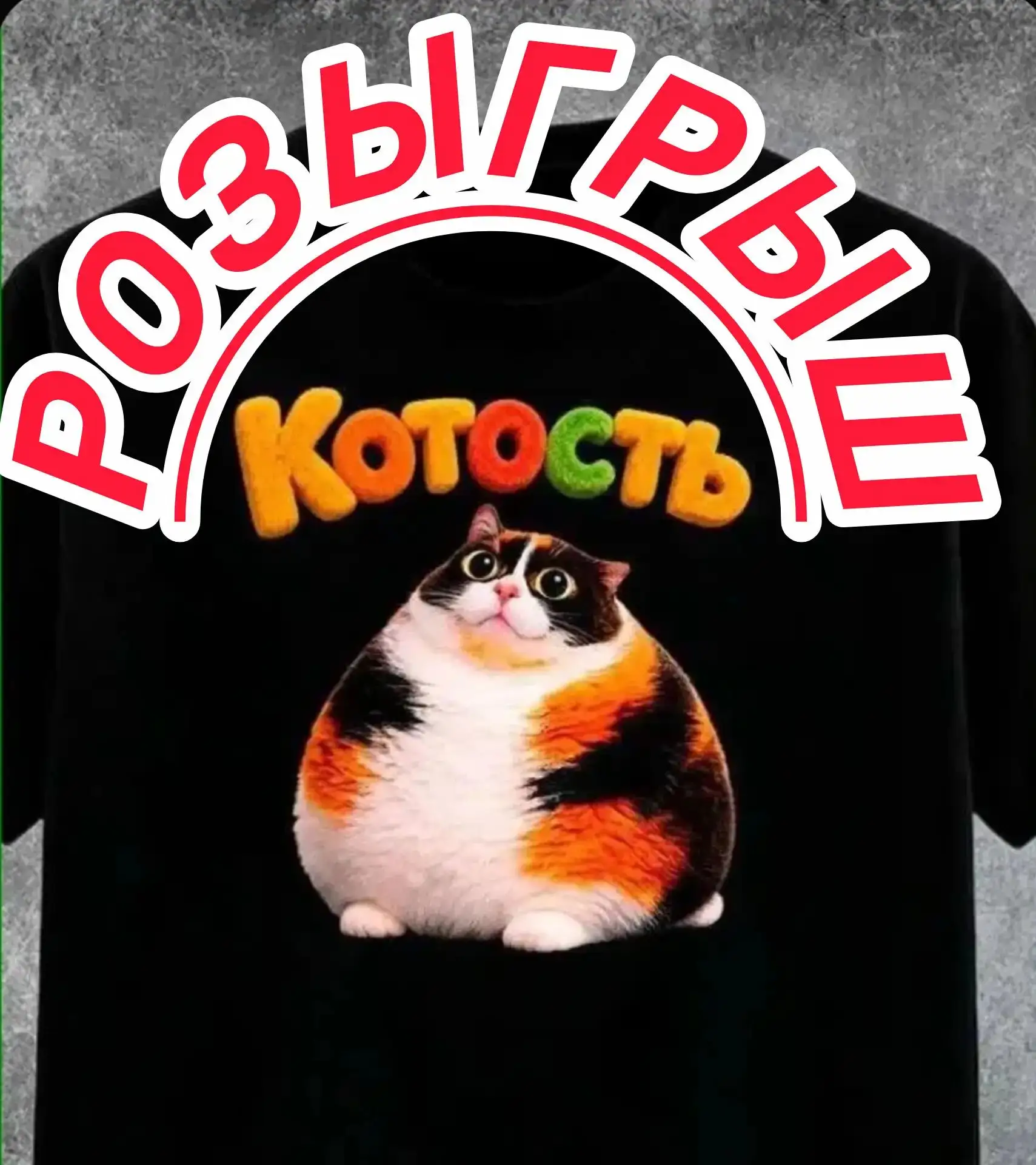 🎁 Дарим Футболку КОТОСТЬ