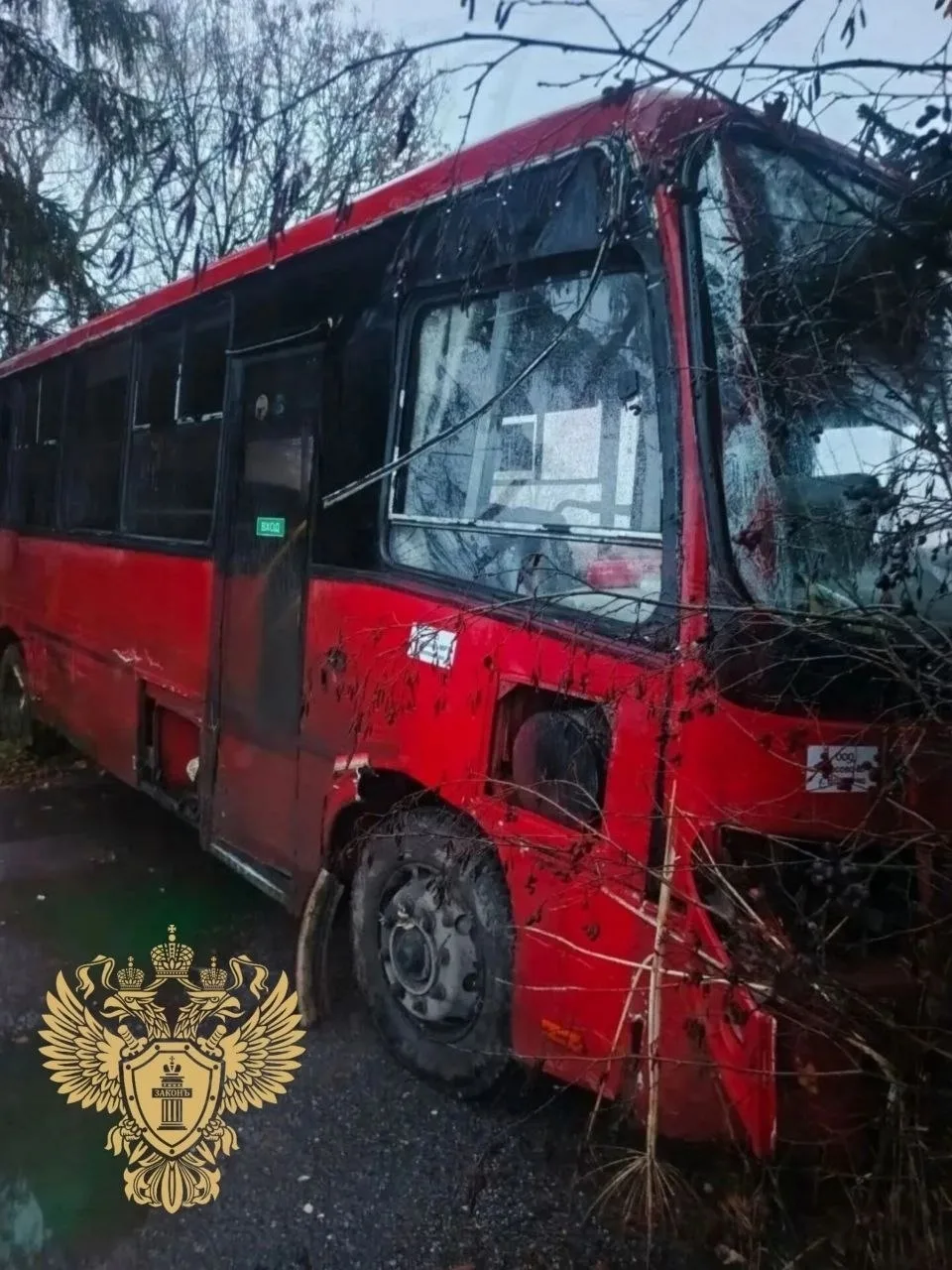 Прокуратурой Волосовского района организована проверка по факту ДТП с участием рейсовог...