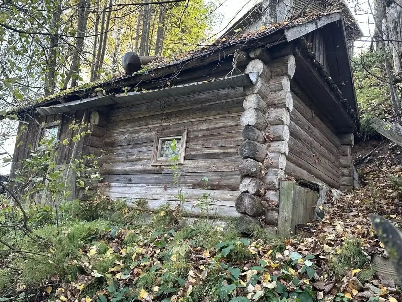 Разобрали и вывезли баню, заняло у нас по времени от и до 7 часов.