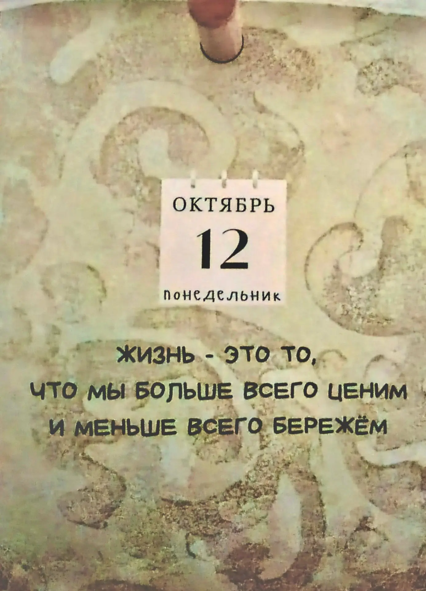 Муд дня