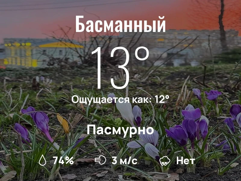 Что с погодой в Басманном?