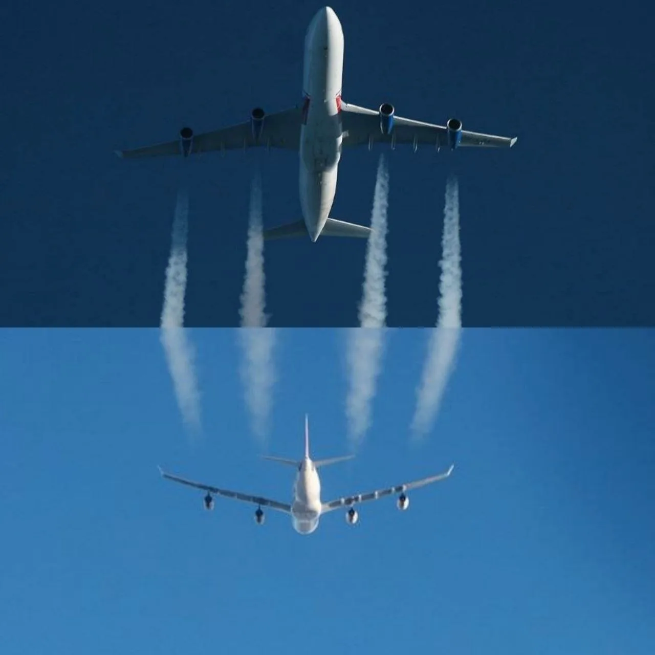 "Встречный попутник"✈✈