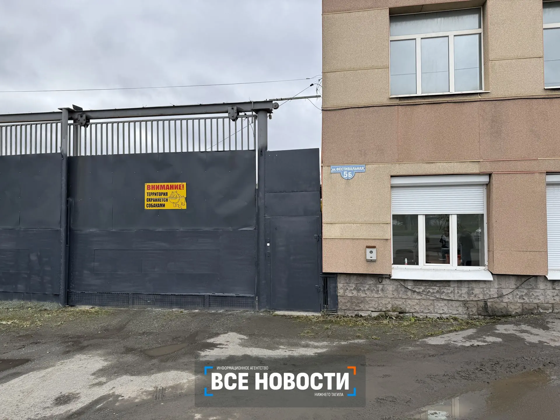 В Нижнем Тагиле муниципальный приют для животных открывает двери для посетителей