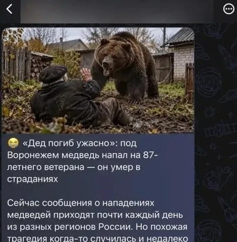 ❗️Воронежцев пугают фейком о нападении медведя на ветерана