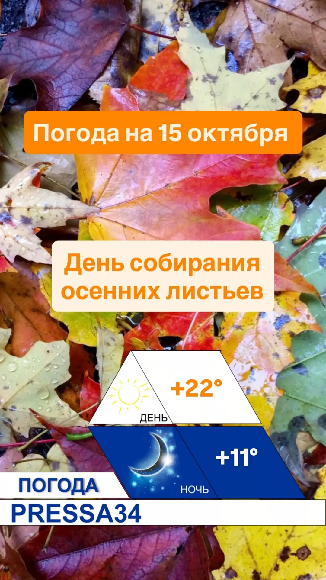 🌤 Погода — 15 октября