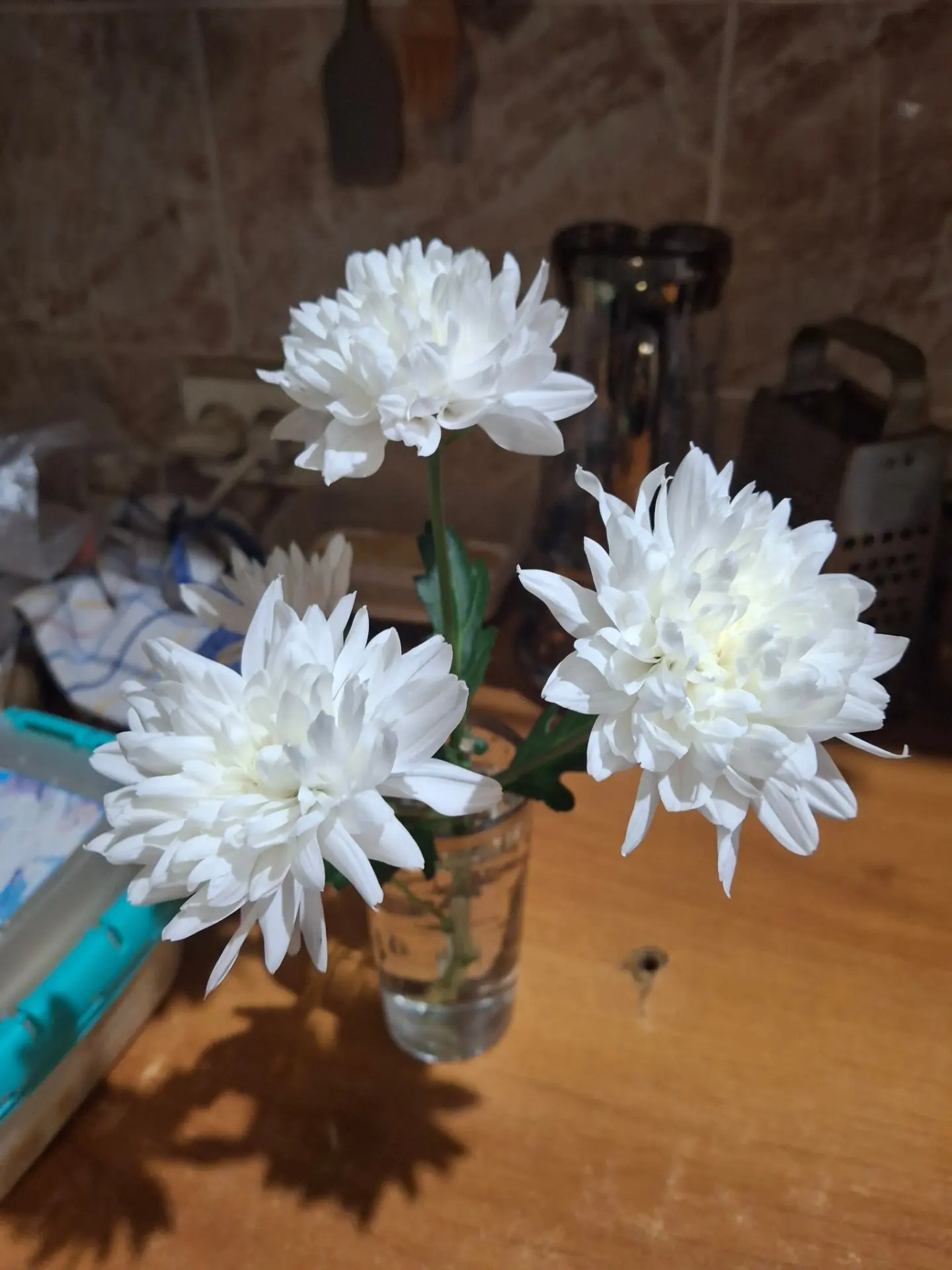 И снова дома цветочки 🥰