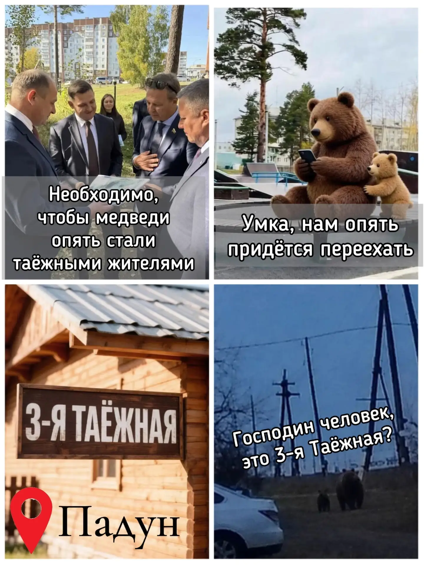 Город в тайге