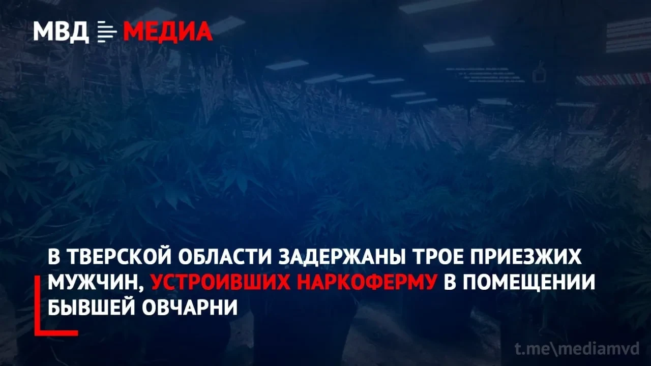 Под Рамешками нашли подпольную наркоферму в старой овчарне