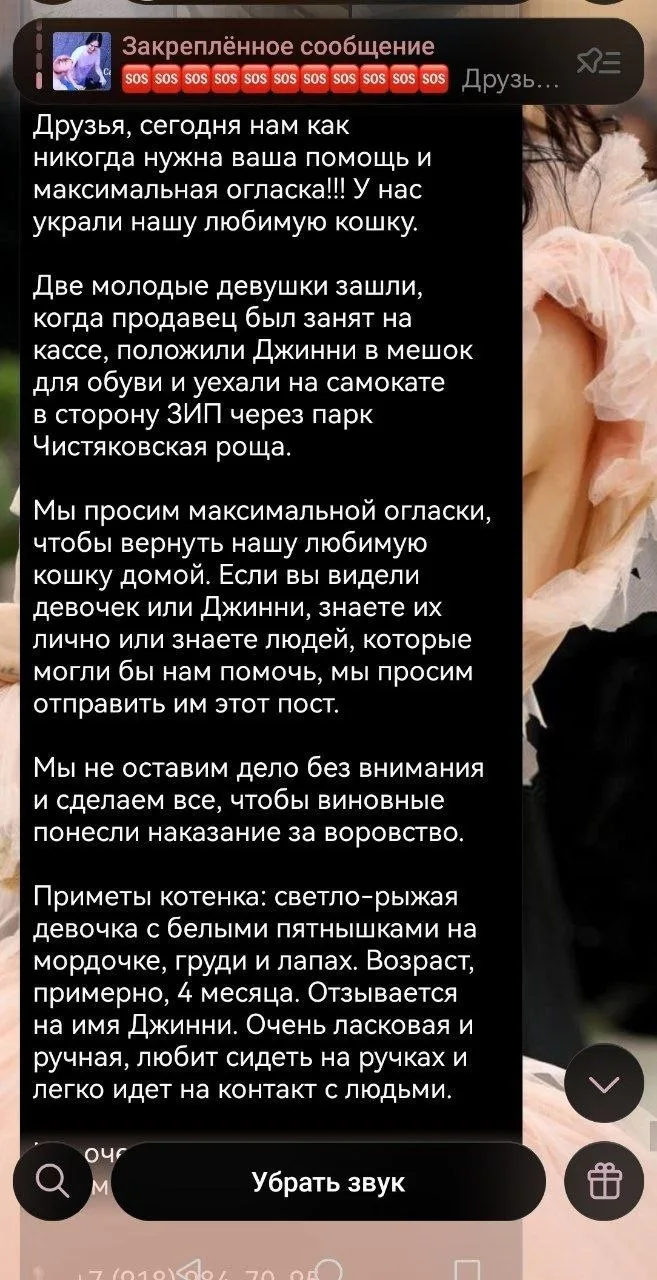Я не знаю как отнесутся к этому посту люди но я хочу придать огласку данному происшествию