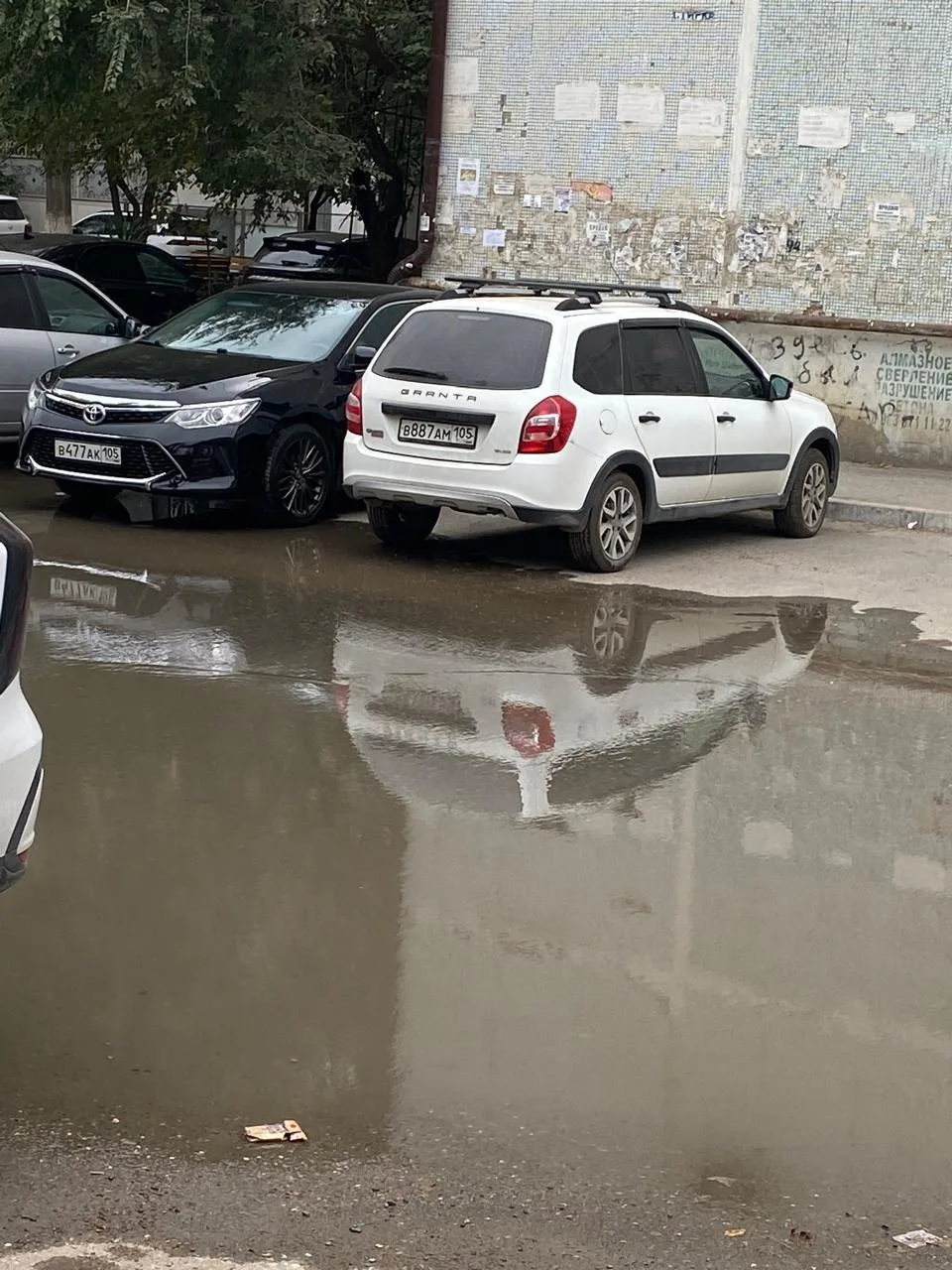 От подписчиков