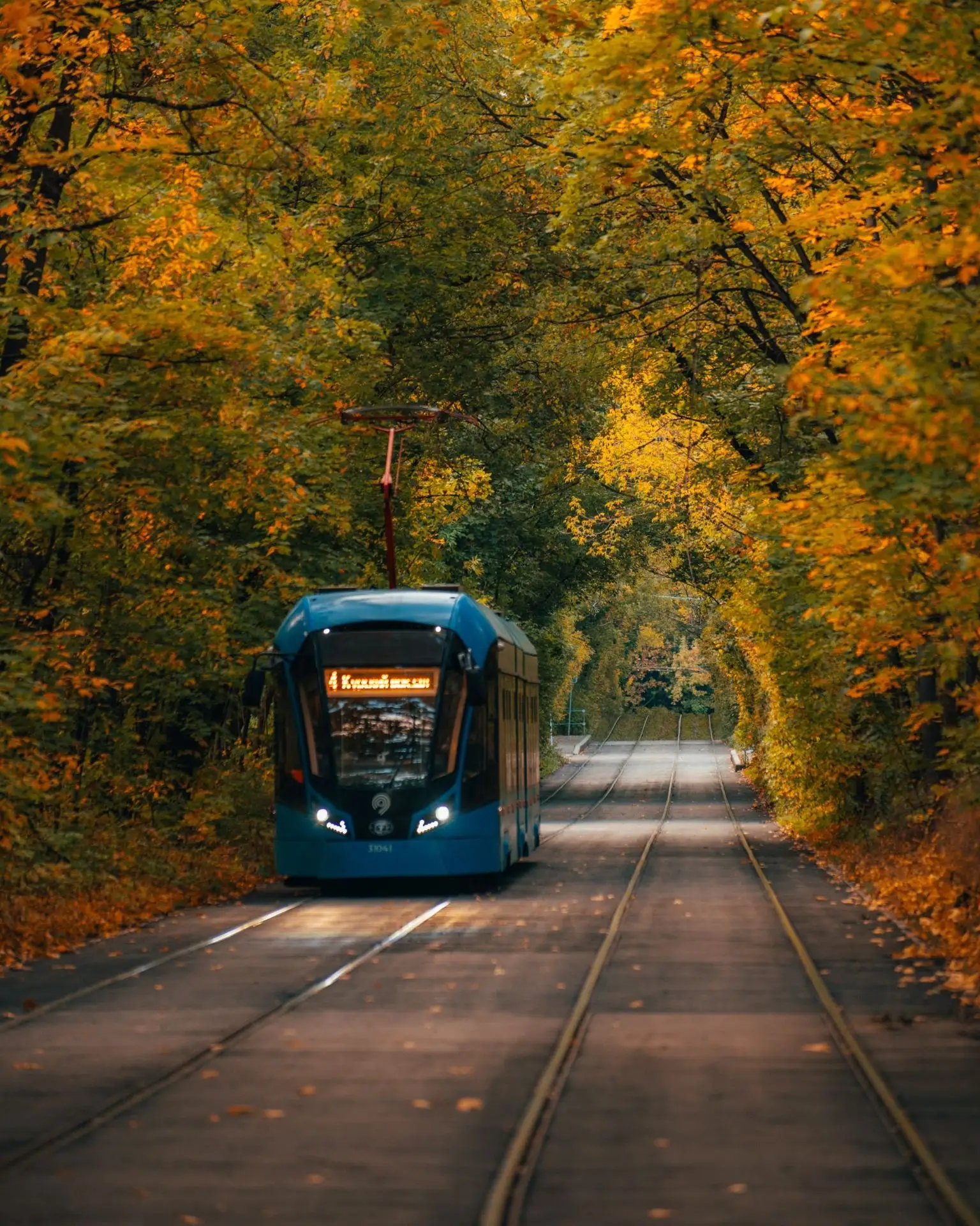 Осенние трамвайчики в Сокольниках 🍁🍂