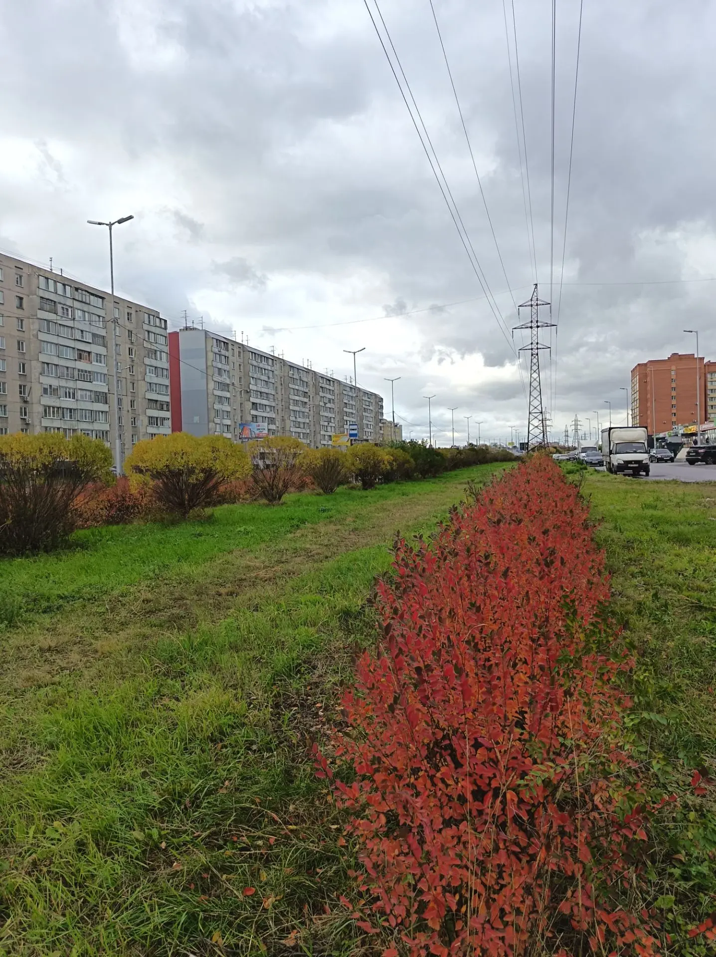 Жёлтые ивы с краснеющим кизильником на фоне сочной зелени - осень в Кургане такая красивая