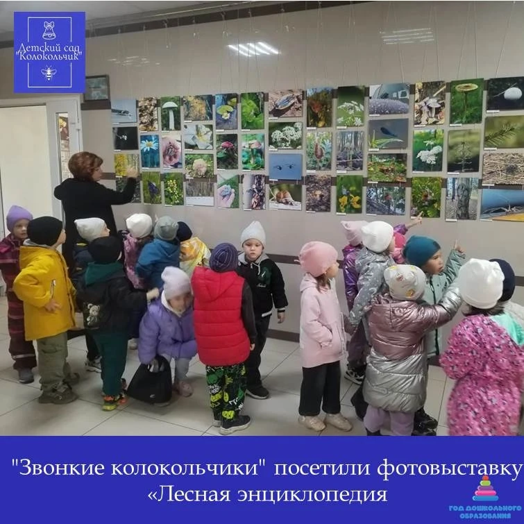 🔷Ребята из старшей группа "Звонкие колокольчики" посетили фотовыставку «Лесная энцикло...