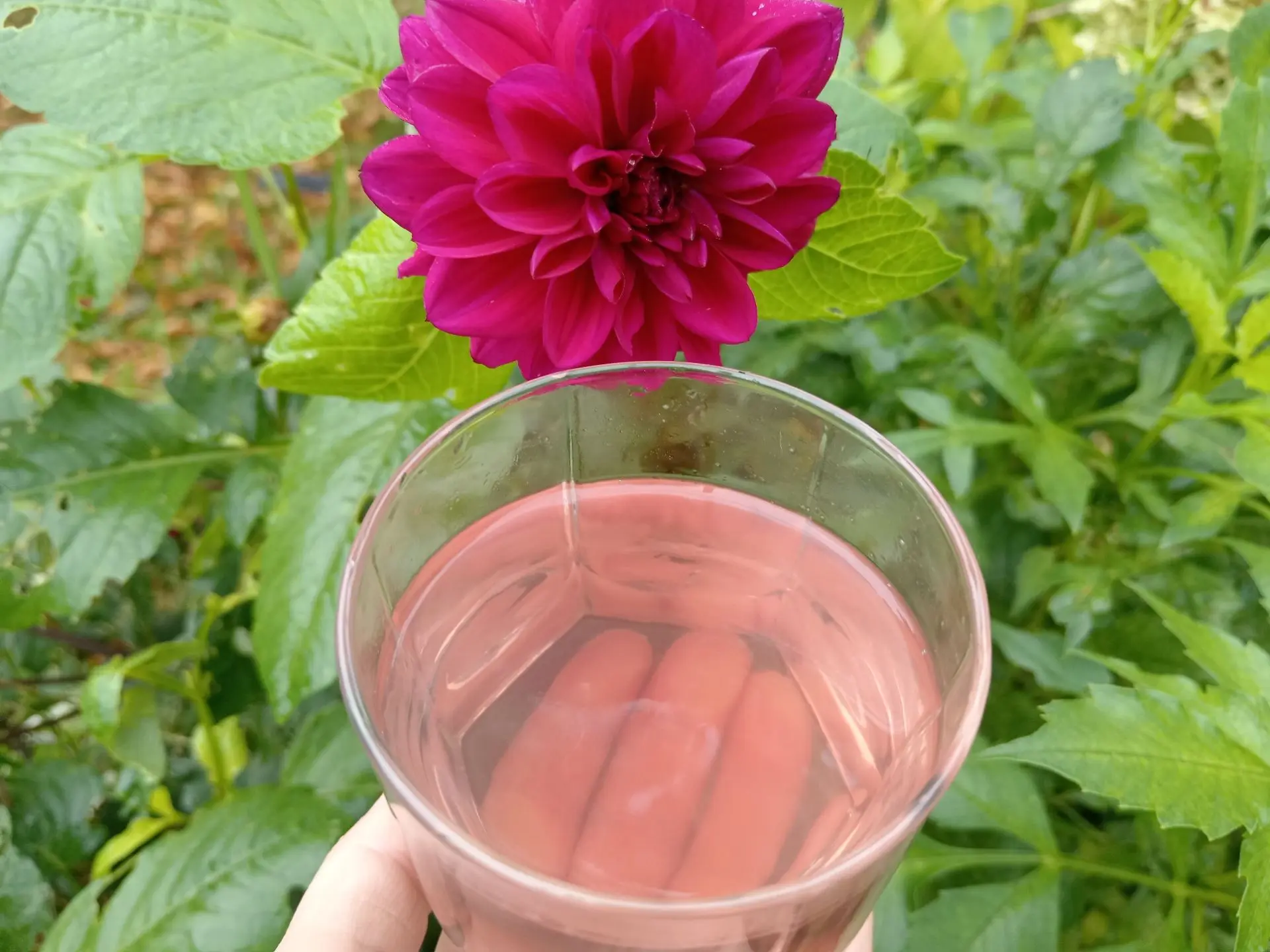 Доброе деревенское утро. ☕