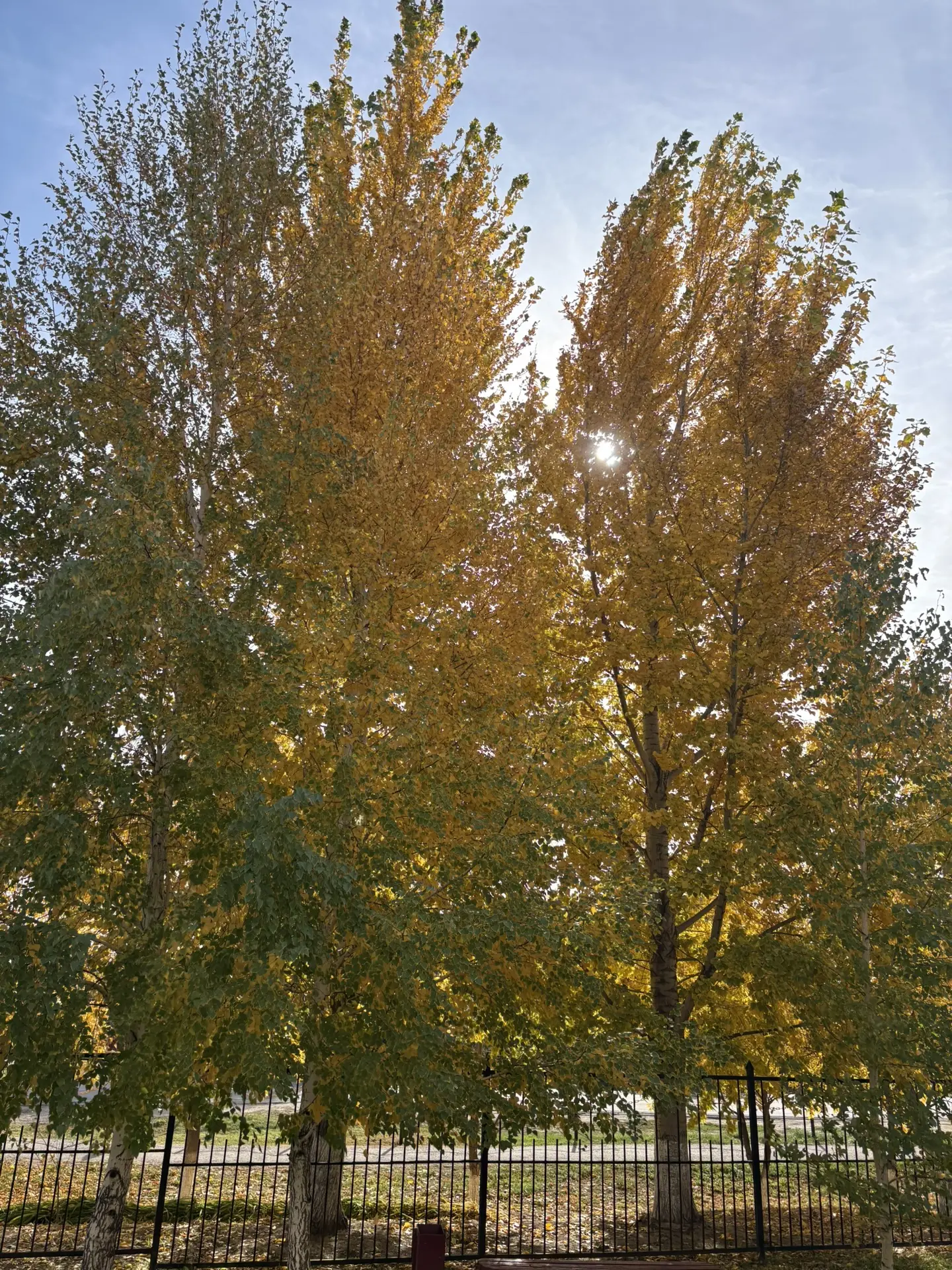 🍂 Золотая осень в нашем детском саду! 🍁
