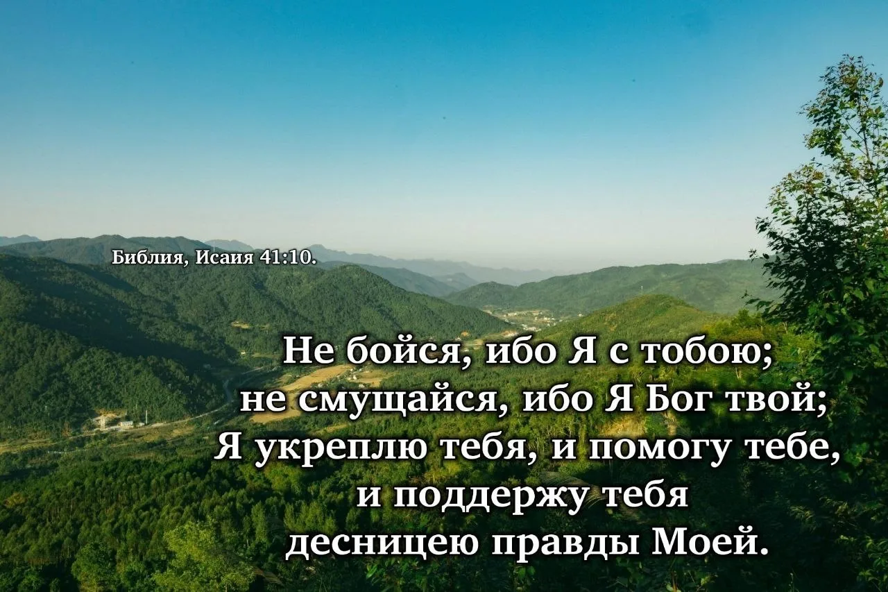 Мир Божий да пребывает с вами! 🙏 🌸