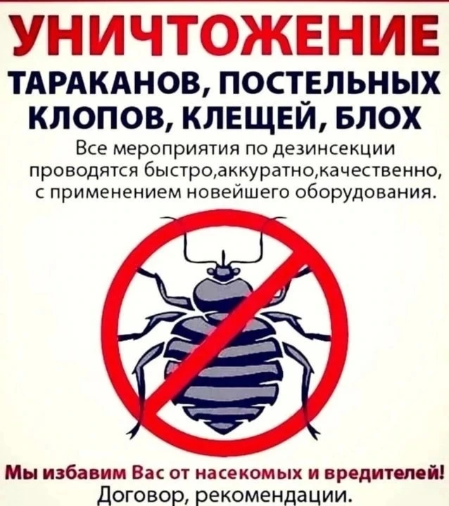 Ведётся предварительная запись на октябрь. 89954174876
