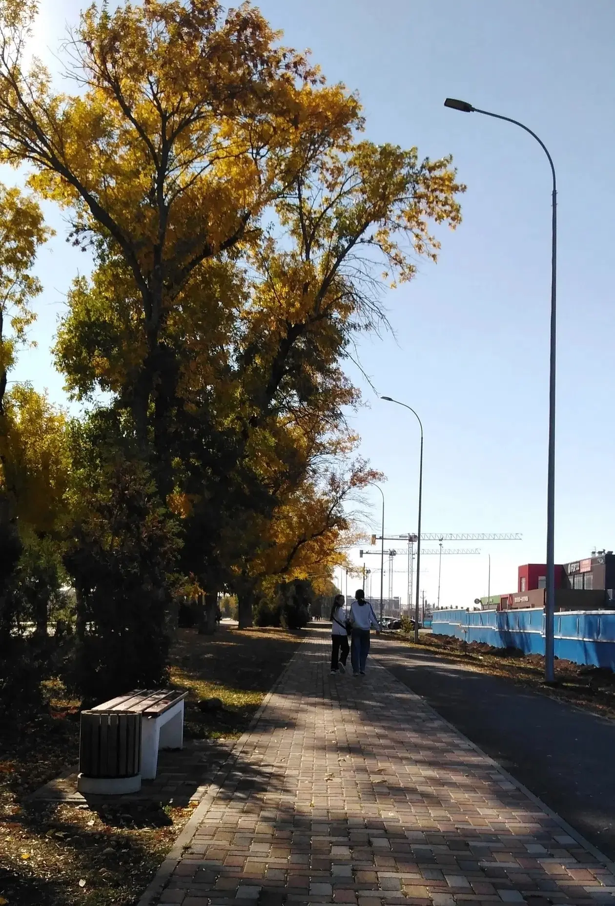 Добрый вечер. Сегодня 11.10.2026г. на детской площадке напротив дома по адресу ул.Архит...