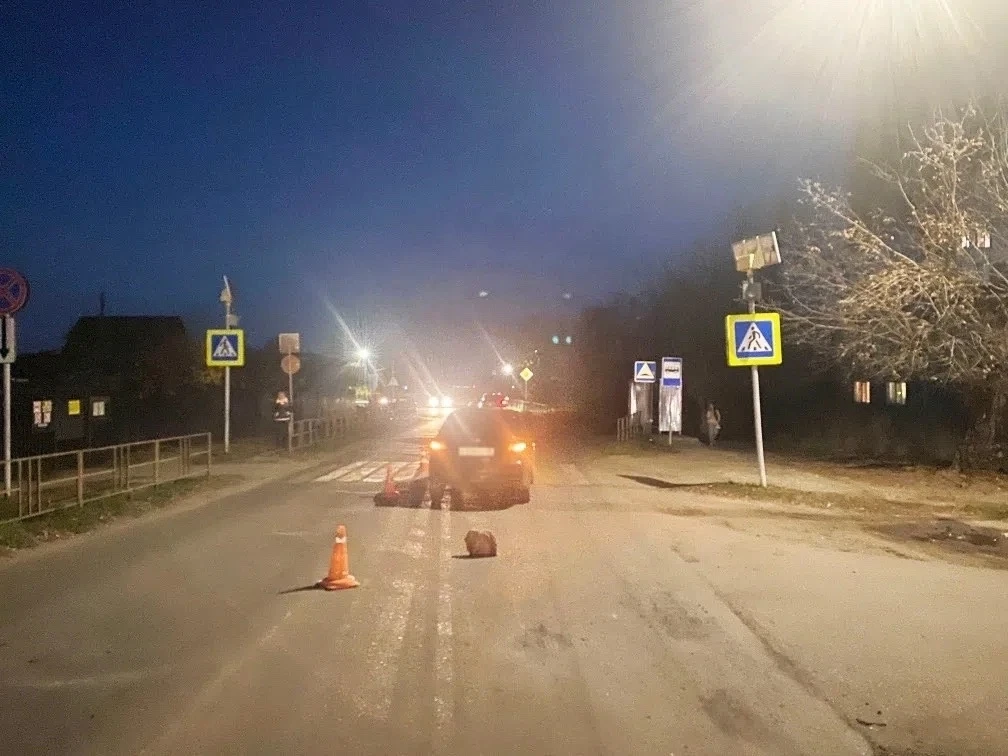 🚨 В Моршанске водитель сбил 12-летнюю девочку на пешеходном переходе